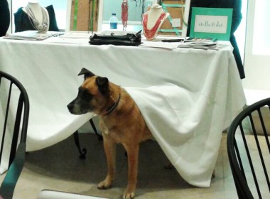 dog blog, maniac magazine pittsburgh